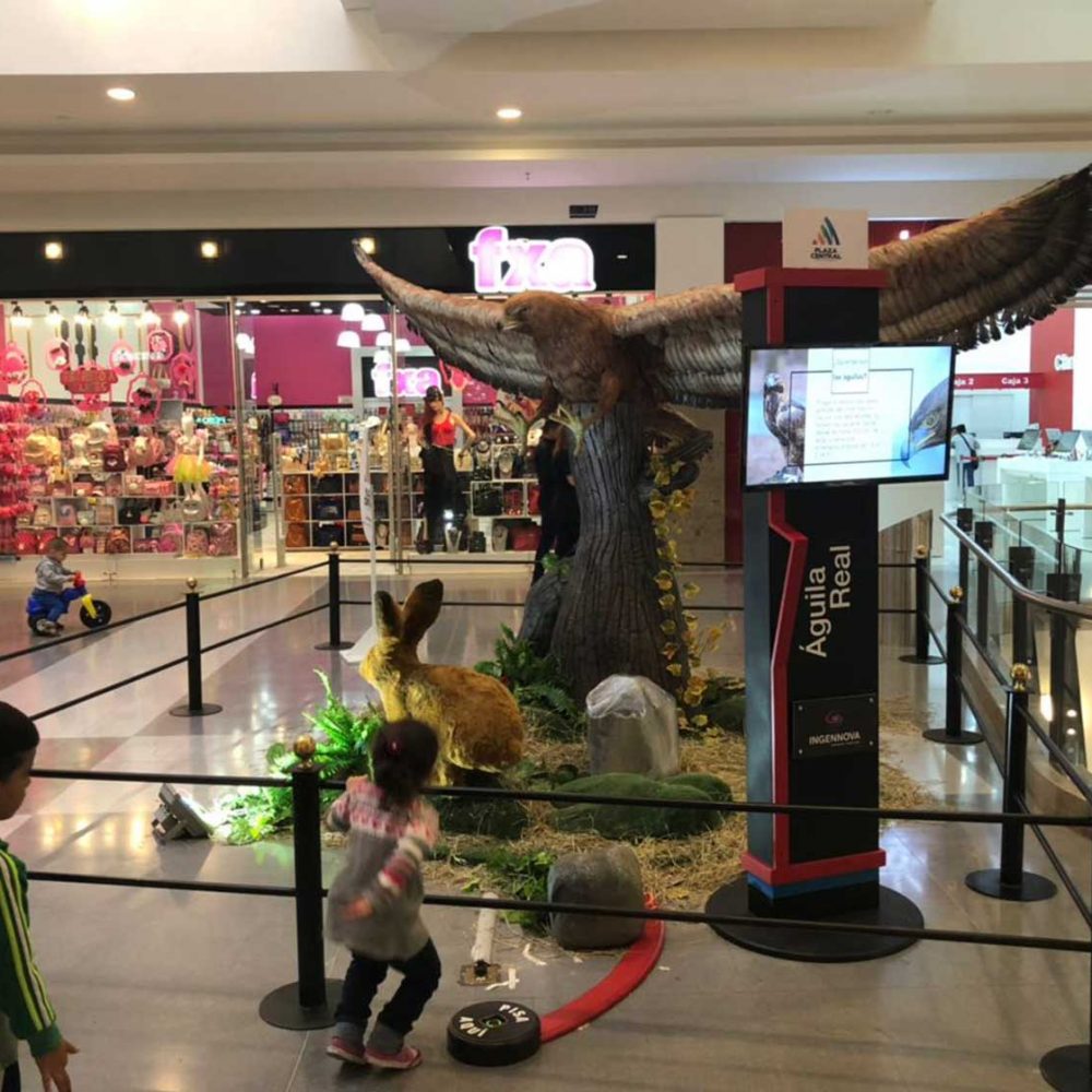 Eagle Animal Animatronic Robot - Ingennova