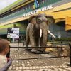 Elephant Animal Animatronic Robot 5