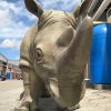 Rhino Animals Animatronic Robot 7